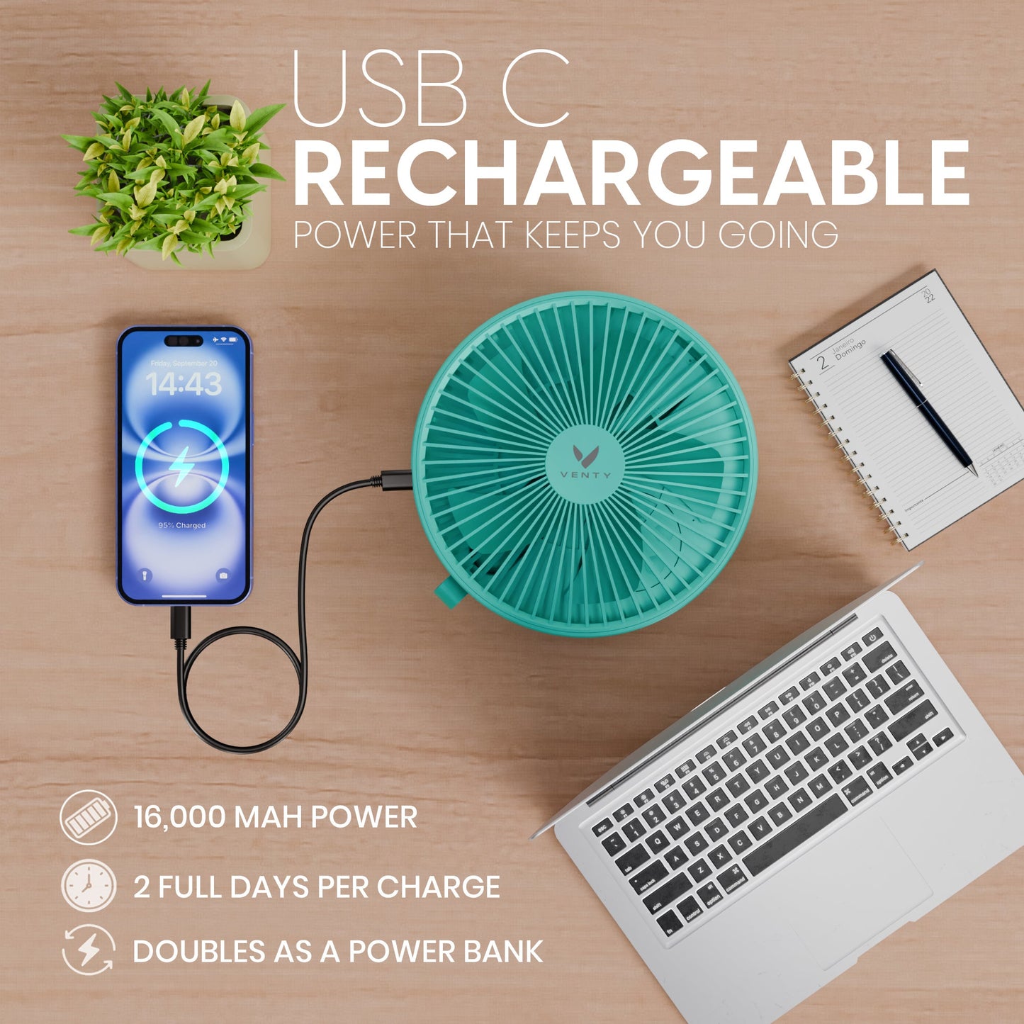 Mint fan folded